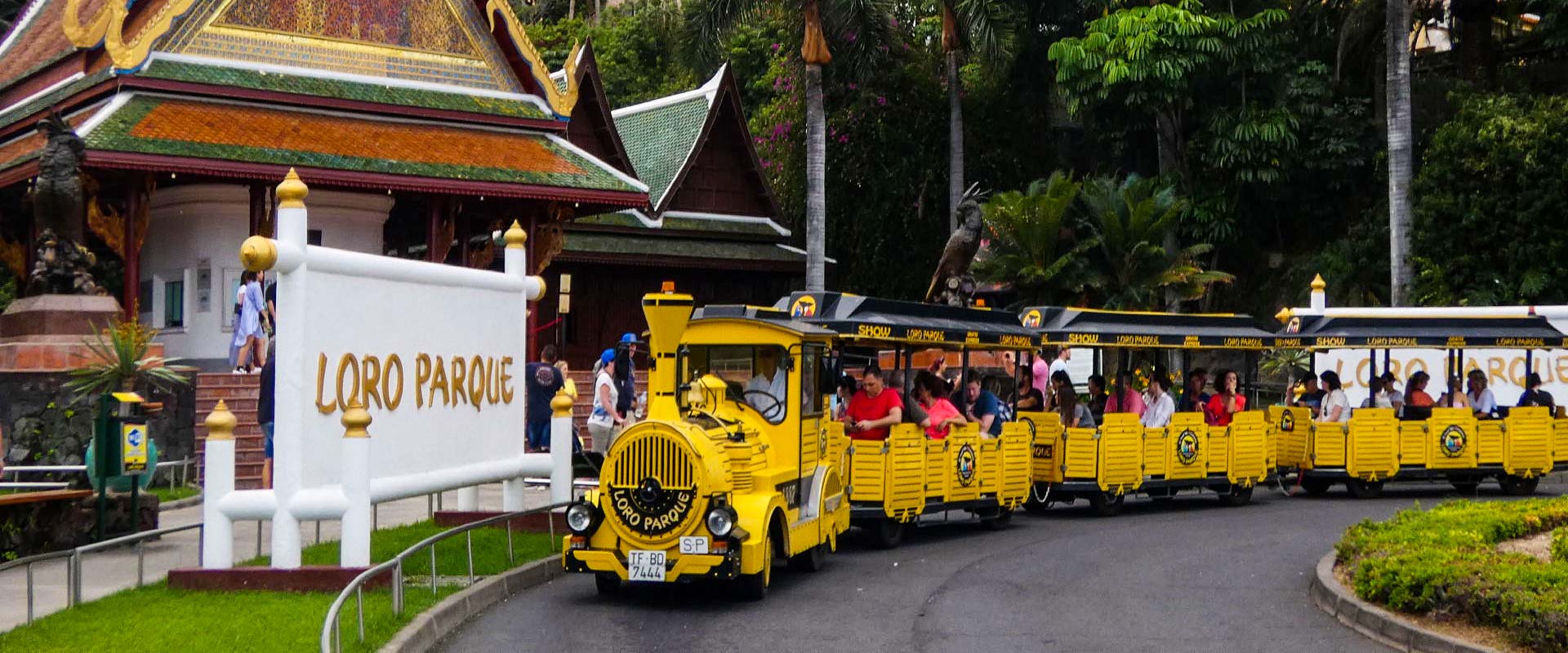 que ver tenerife blog loro parque