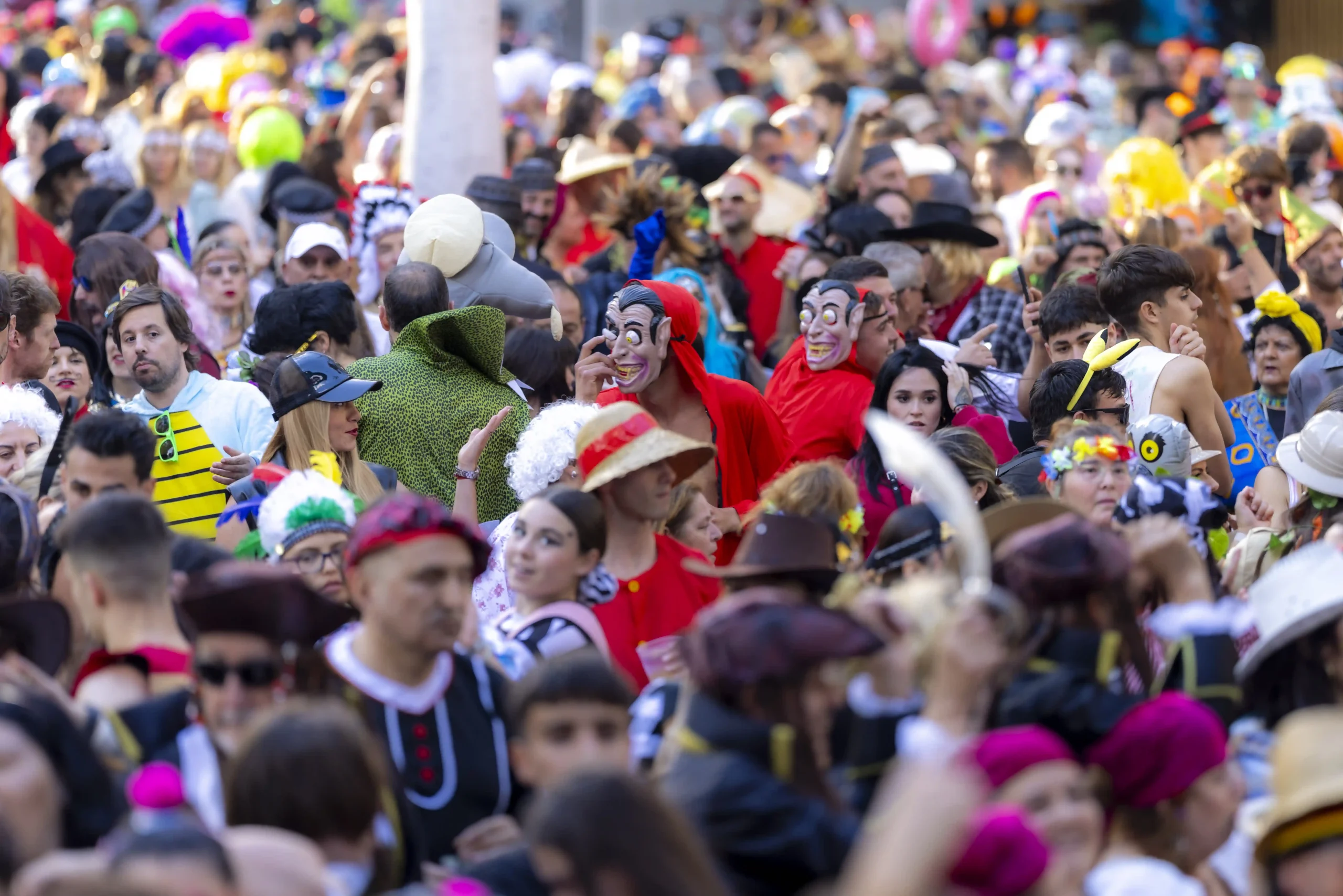 Carnaval de Tenerife 2026 : Guide Complet (tous les Événements du 16 Jan au  22 Fév) Santa Cruz | Nests Hostels