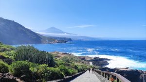 Excursión Colores del norte – La Laguna, El Suazal en Tenerife