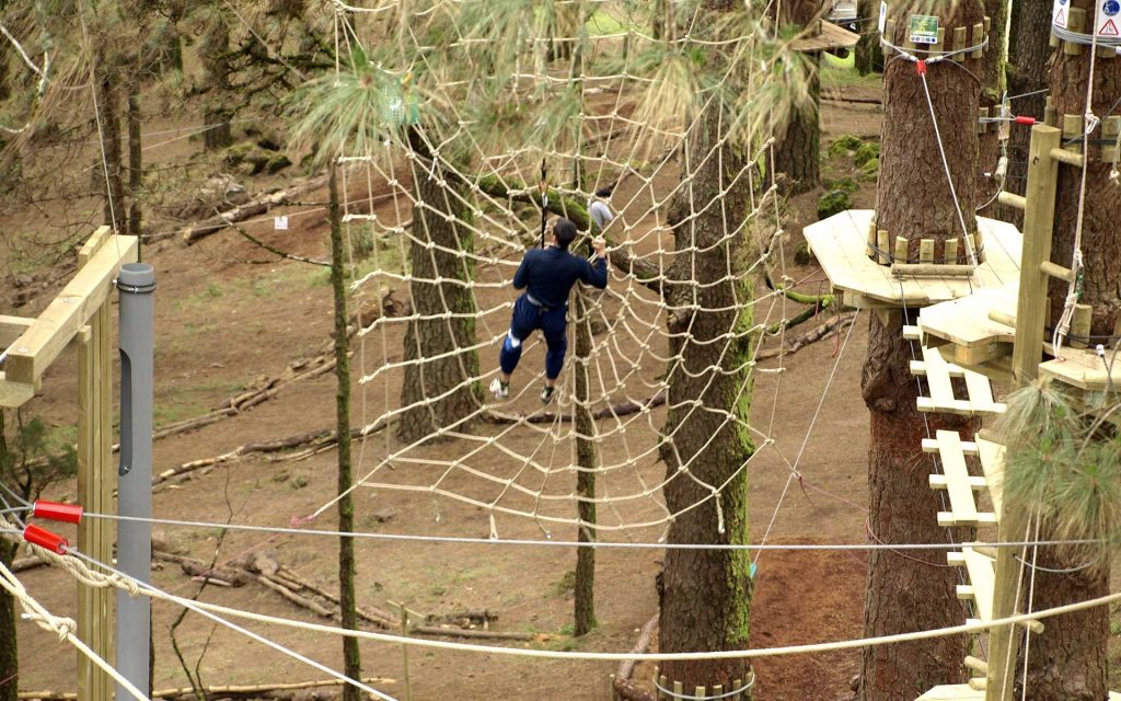 Giant rope “spider webs” Forestal Park