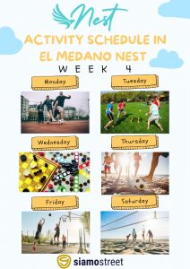 Sport Activities in El Médano Nest Hostel for January 2023