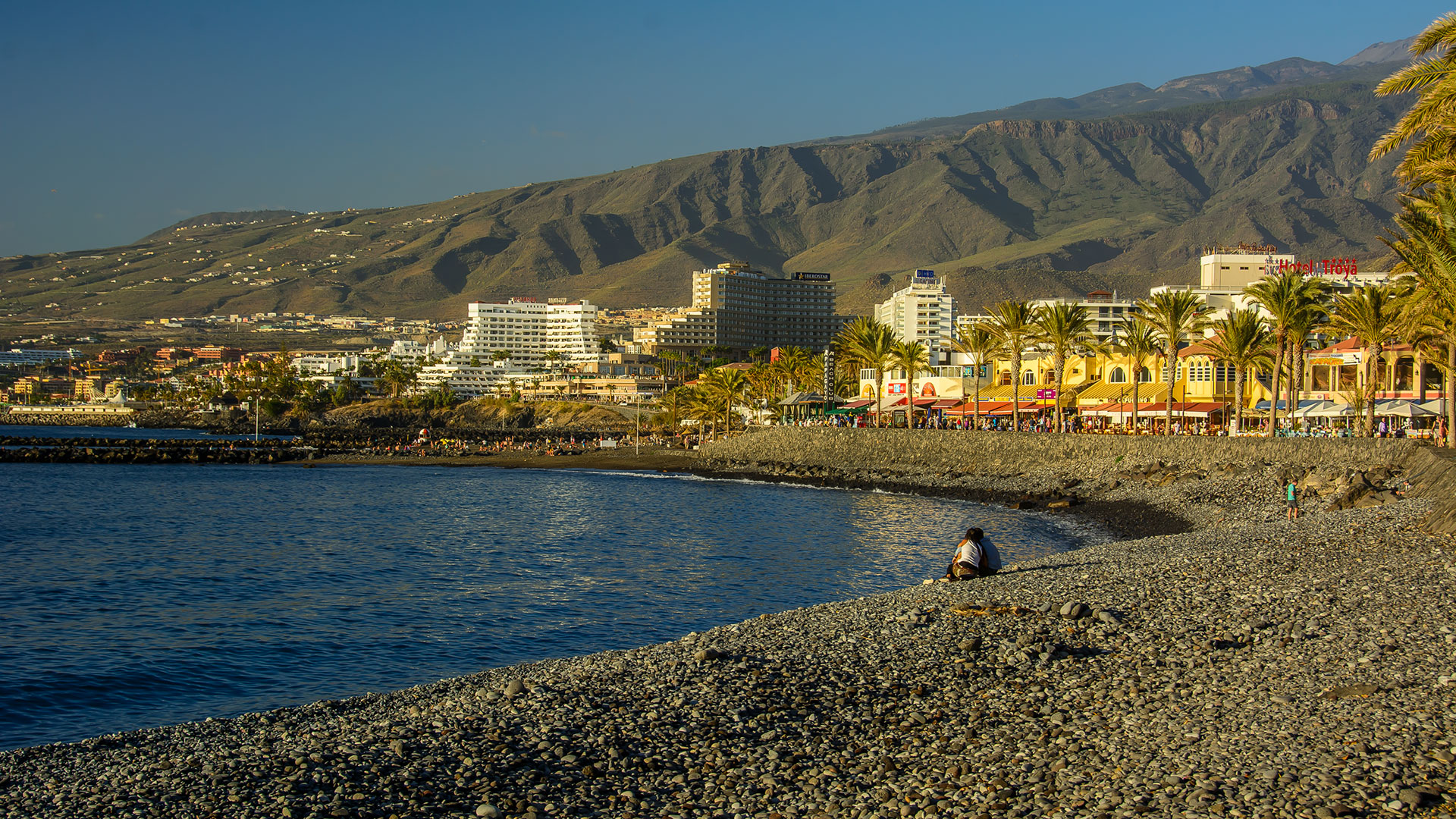 Playa De Las Americas Costa Adeje Tenerife How Is What To Do Nests 