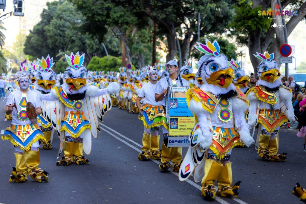 The tenerife carnival 2024 in february program and main events with history, explanations and photos