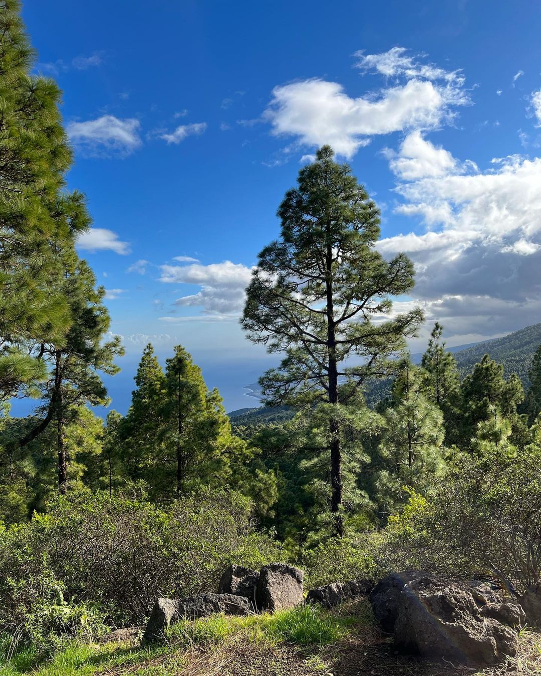 climb up and enjoy the view of Teide National Park
