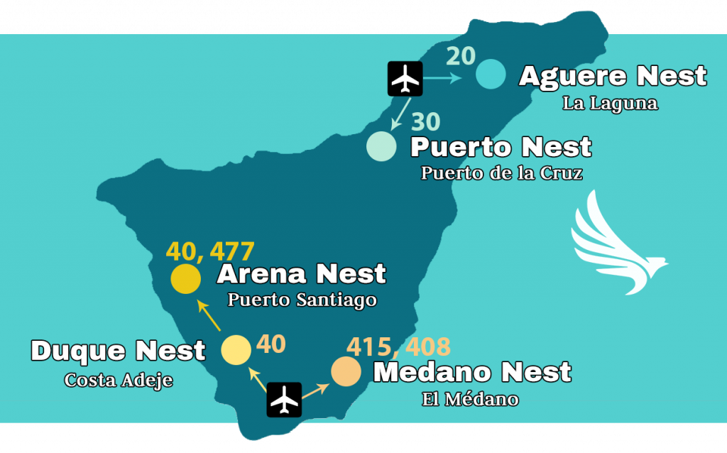 Conectividad a Tenerife Aeropuerto sur y norte con Nests Hostels