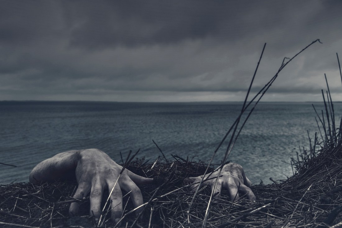 Two grey hands emerging from dry grass at the edge of a cliff, with the sea and a cloudy sky in the background