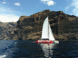 From Costa Adeje to Los Gigantes, dolphins and whales