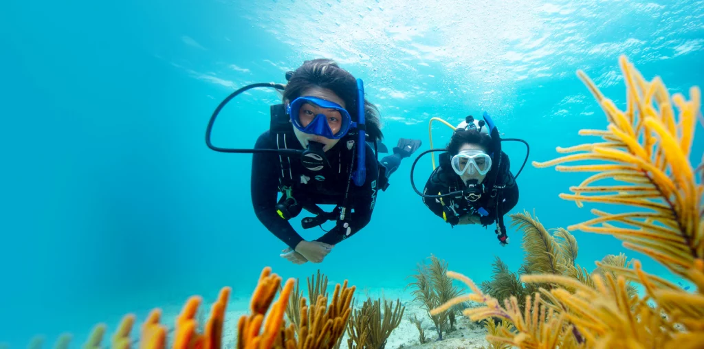 Diving and Snorkelling in Tenerife south and North